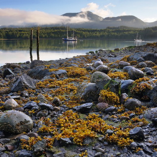 Ucluelet